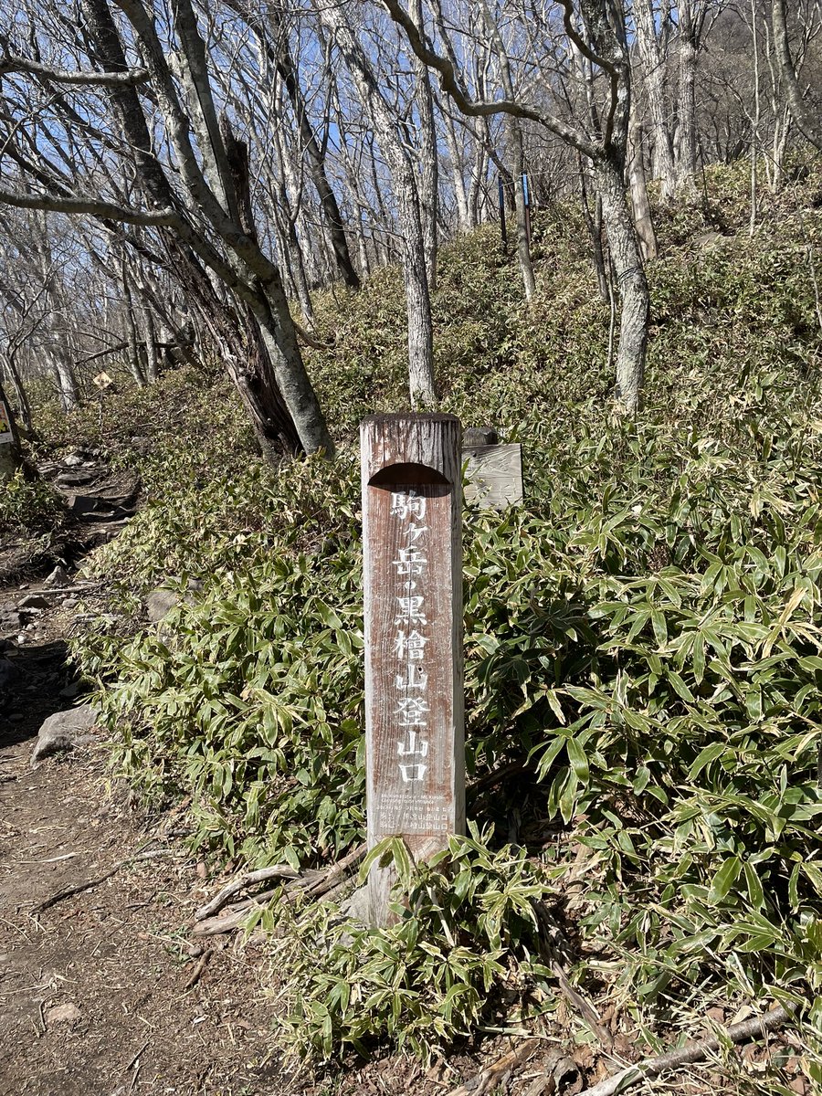 功 tweet media