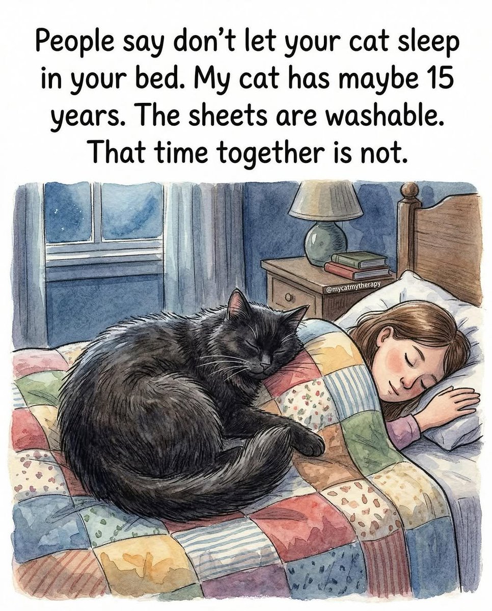 Cat Therapy 😸 tweet media