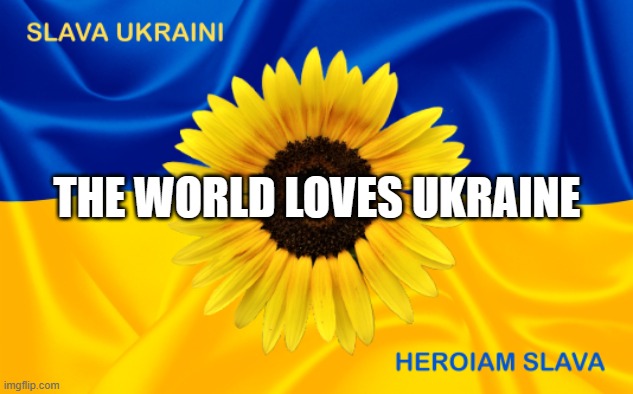 Mik Fella 🇺🇦🇪🇺🇦🇺🇵🇱 tweet media