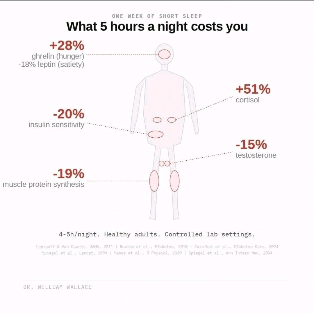 WilliamWallace's tweet photo. One week of short sleep in otherwise healthy adults. Not "sleep deprived" by strict definition. Just 4-5 hours a night. Testosterone dropped 15%. Insulin sensitivity dropped 20%. Muscle protein synthesis dropped 19%. Hunger hormones rose 28%. Cortisol rose 51%. These aren't the only systems affected. They're just some of the ones that have been measured in controlled settings. No supplement, no diet hack, no training program (crazy claim, I know, but you can't outrain poor sleep...) outperforms sleep at keeping systems "online". 

References:
Leproult & Van Cauter, JAMA, 2011. Buxton et al., Diabetes, 2010. Zuraikat et al., Diabetes Care, 2024. Spiegel et al., Lancet, 1999. Saner et al., J Physiol, 2020. Spiegel et al., Ann Intern Med, 2004.