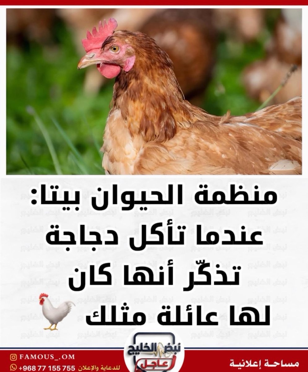 ꧁ 𝓗𝓐𝓦𝓡𝓐꧂ tweet media