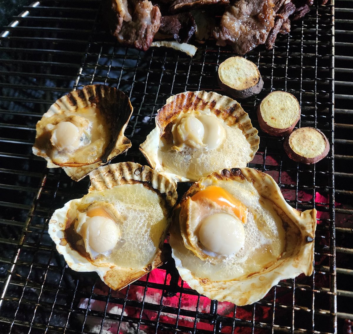 友達の家の庭でホタテを焼いています。