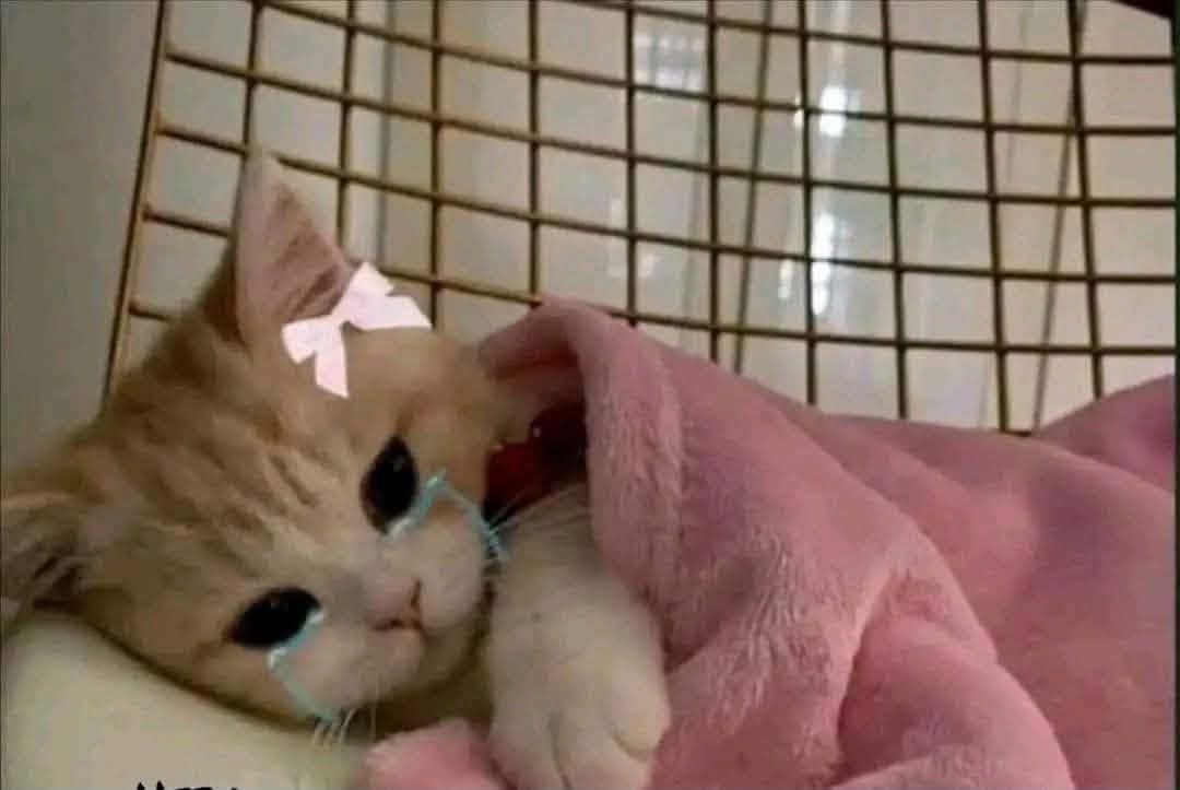 رموني في حياة الكبار ومشيوا...👩🏻‍🦯