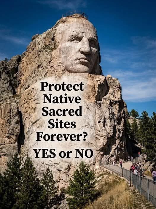 Native American tweet media
