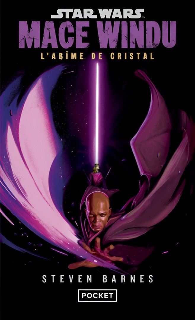 GalaxieStarwars's tweet photo. Présentation @PocketImaginair 
@GenStarWars 2026.
Le 09 juillet 2026 sortira le roman de Steven Barnes Star Wars Mace Windu l'Abîme de Cristal.

Afin d'honorer la dernière promesse qu'il a faite à Qui-Gon Jinn, Mace Windu se rend sur Metagos, une planète isolée de la Bordure Extérieure, à la surface vitrifiée par une violente explosion solaire et devenue le repaire des pires brigands de la galaxie.

#GalaxieSW+
https://t.co/QfOMzOG2mW