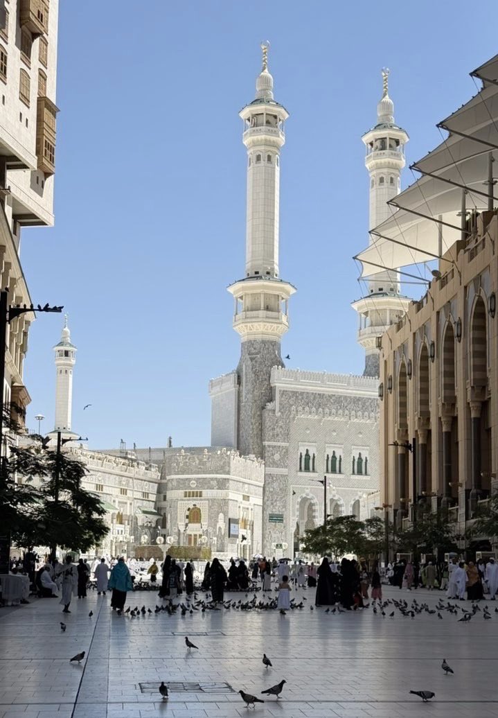 وعد tweet media