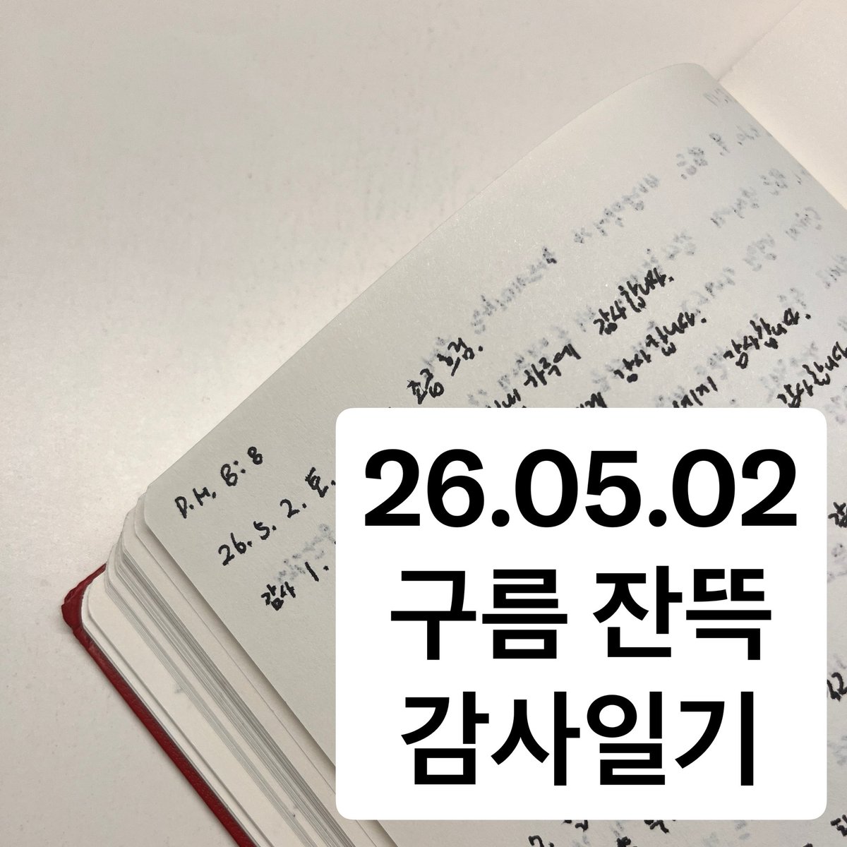 빛수리 tweet media