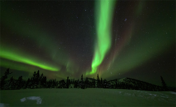 RicksDailyTips's tweet photo. Timelapse video: Northern Lights over Alaska
https://t.co/YrZd4FOkRt https://t.co/r9fQSbaSfk