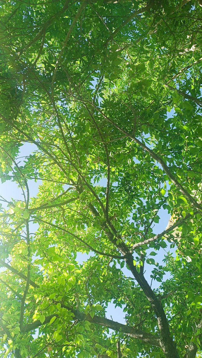 نمی دونم میشه روز معلم رو به خدا هم تبریک گفت یا نه؟!
الَّذی علَّمَ بِالقَلَمِ//عَلَّمَ الانسانَ ما لَم يَعلَم
به خاطر داشتنت ممنونیم.