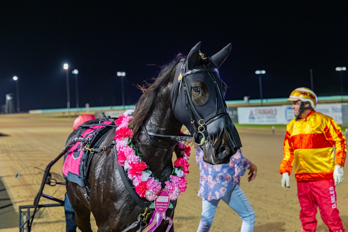 Club Menangle tweet media