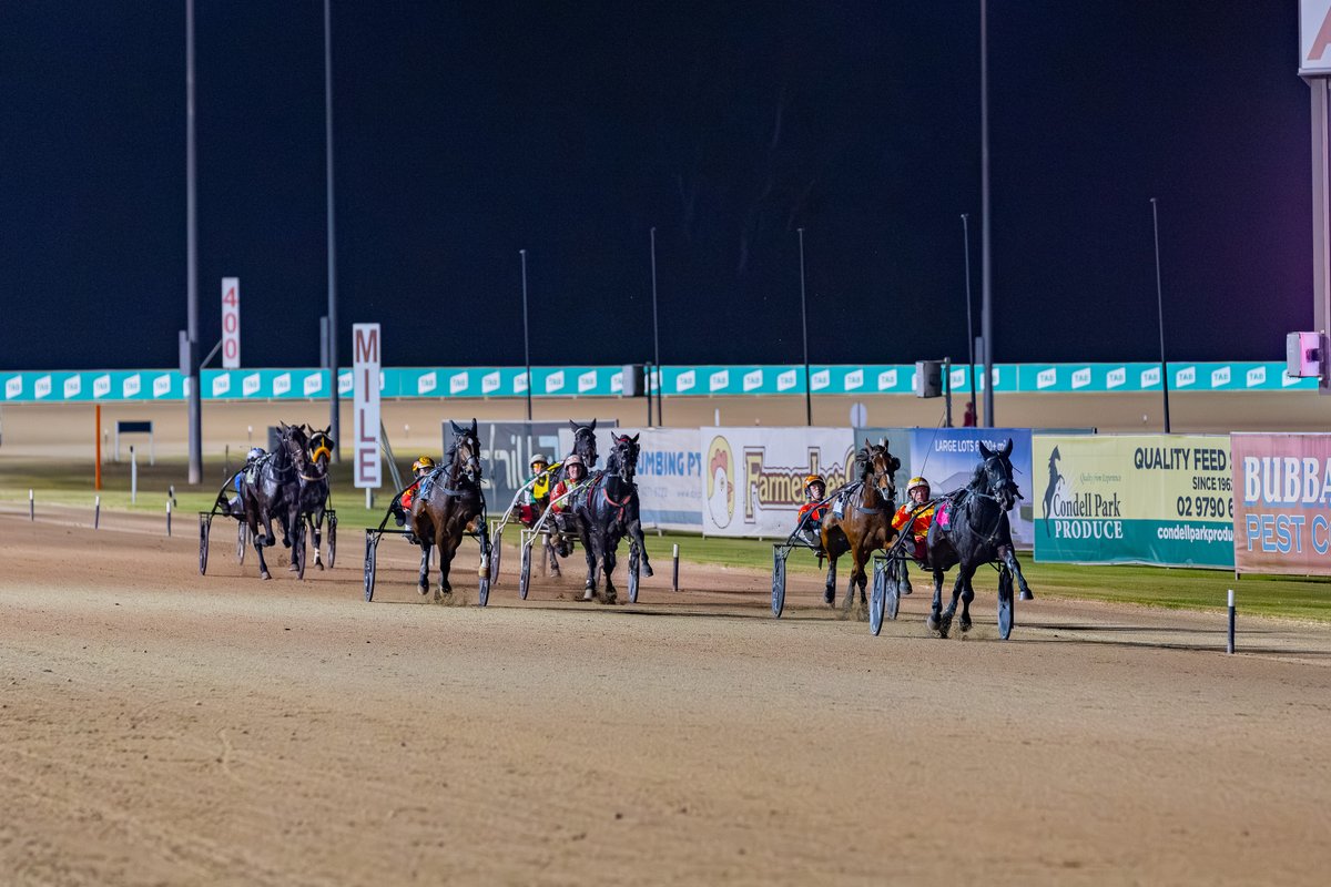 Club Menangle tweet media