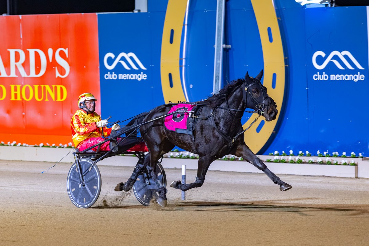 Club Menangle tweet media