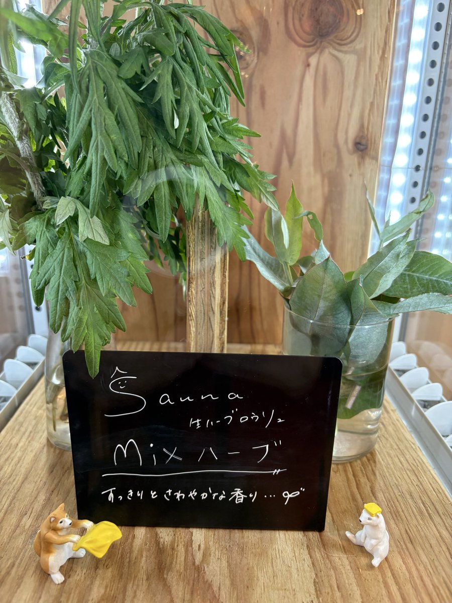 aji333's tweet photo. MIXハーブ🌿
#恵みの湯 https://t.co/RH2n2M3o1I