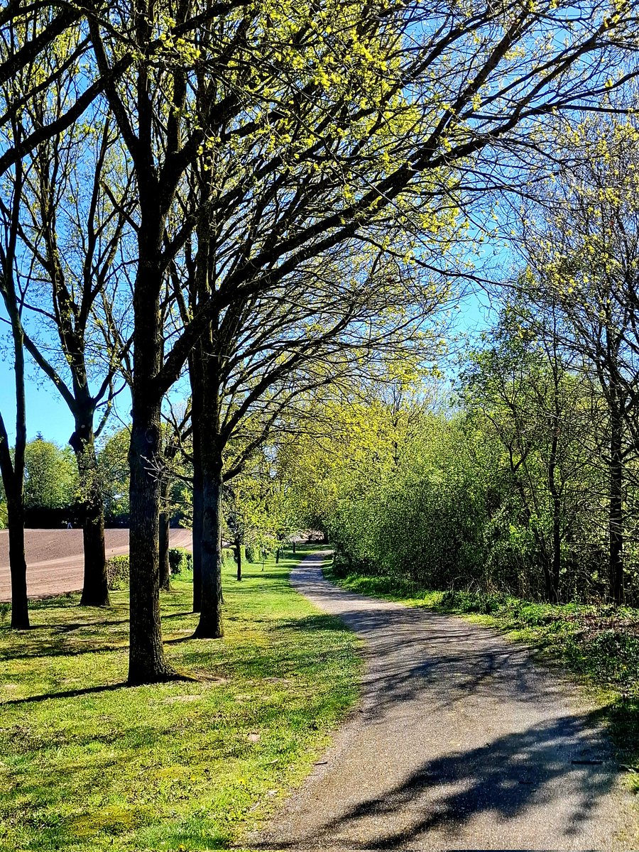 chriz31_07's tweet image. It’s “Simple Saturday”!

Please share a photo that simply brings you joy!

On the way..🚴‍♀️

#HappySaturday