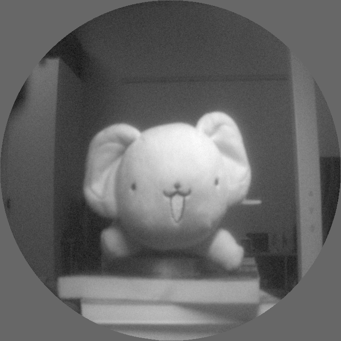 inahoio's tweet photo. photon countingで画が出た https://t.co/2BluLtdde0