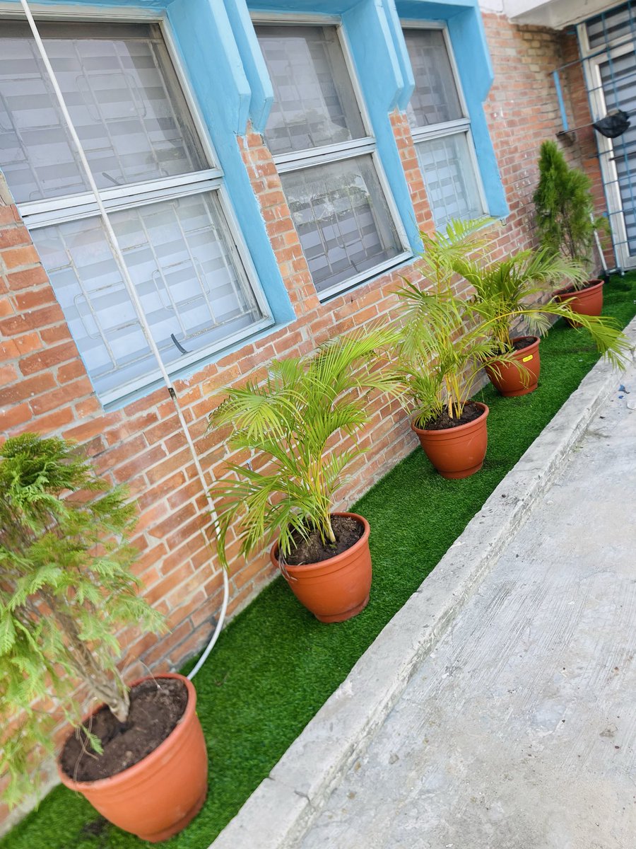FLORIST /GARDEN DESIGNS ASQAURE HORTI RC:2789504⛴️ tweet media