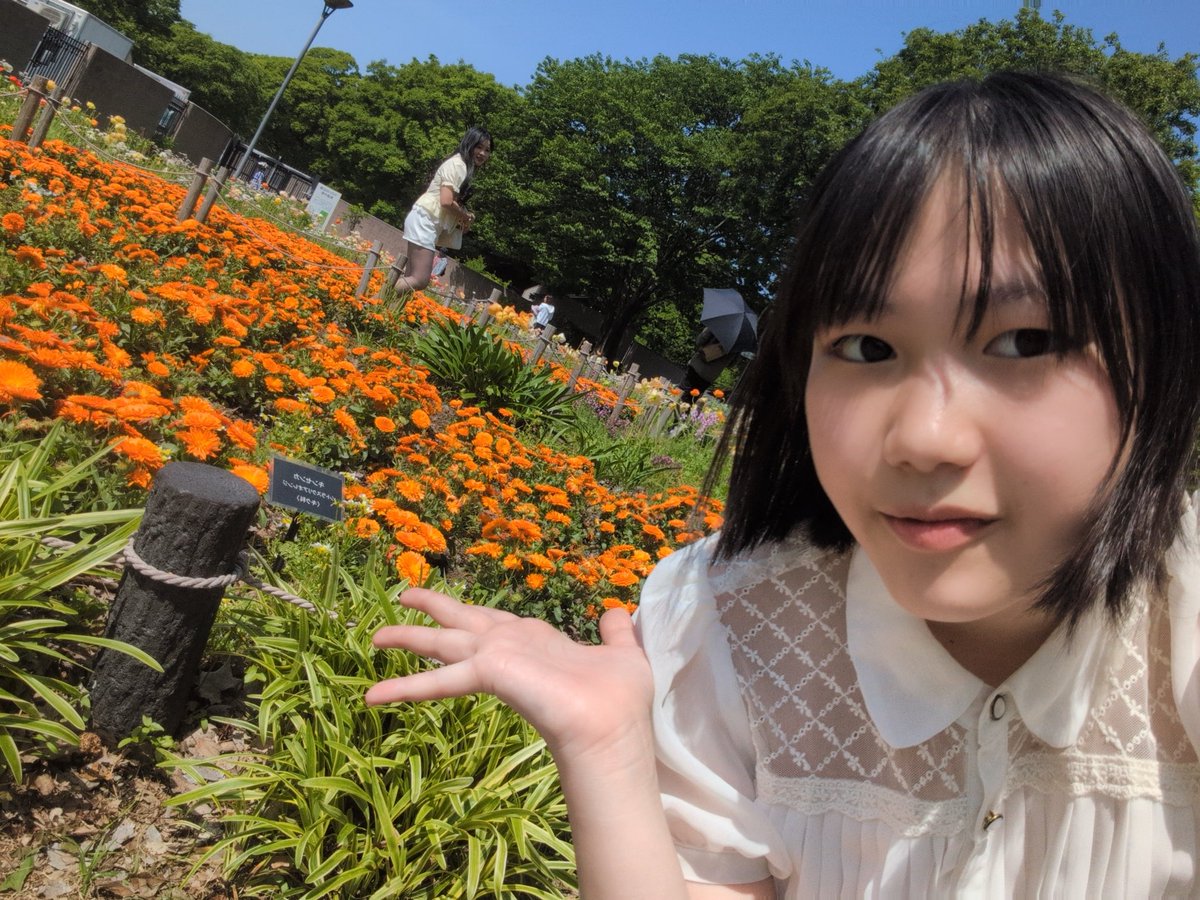 まお(ナナイロ☆ジェミーズ) tweet media