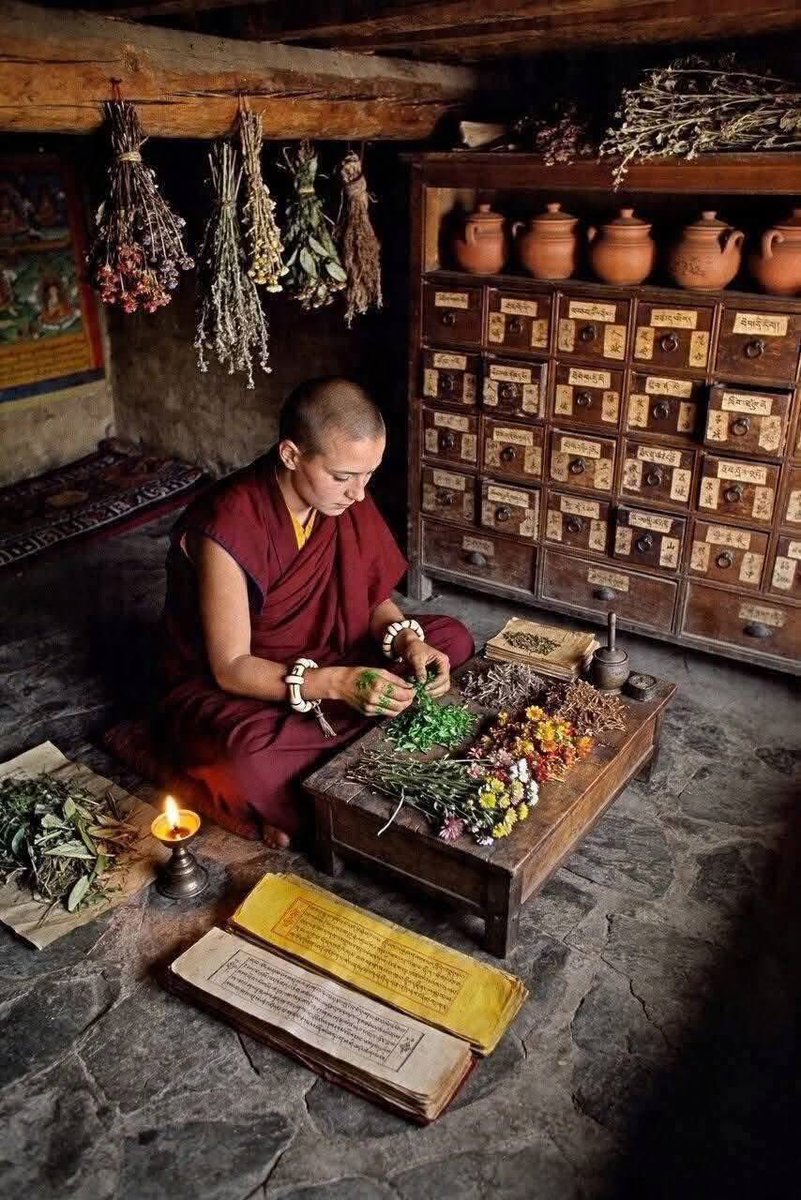 taga | 暮山暖叙 tweet media