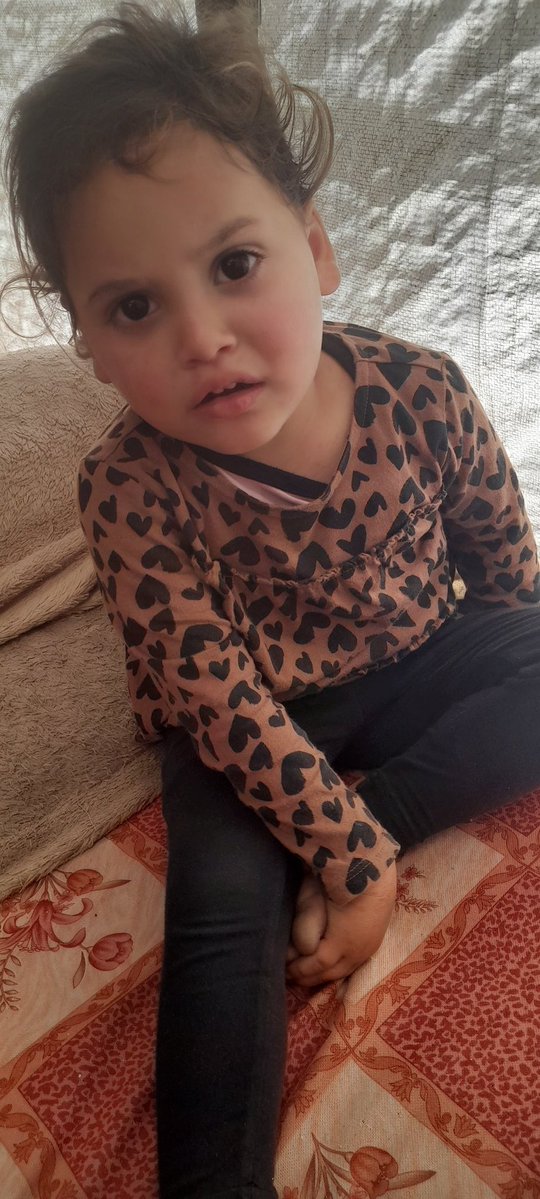  tweet media