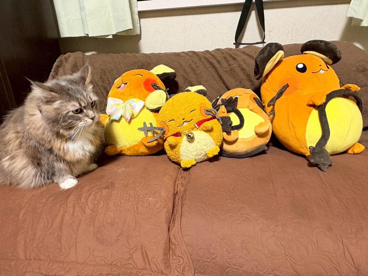 笹ヨークマ tweet media