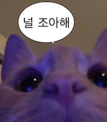 접속률 낮은 노녘 tweet media