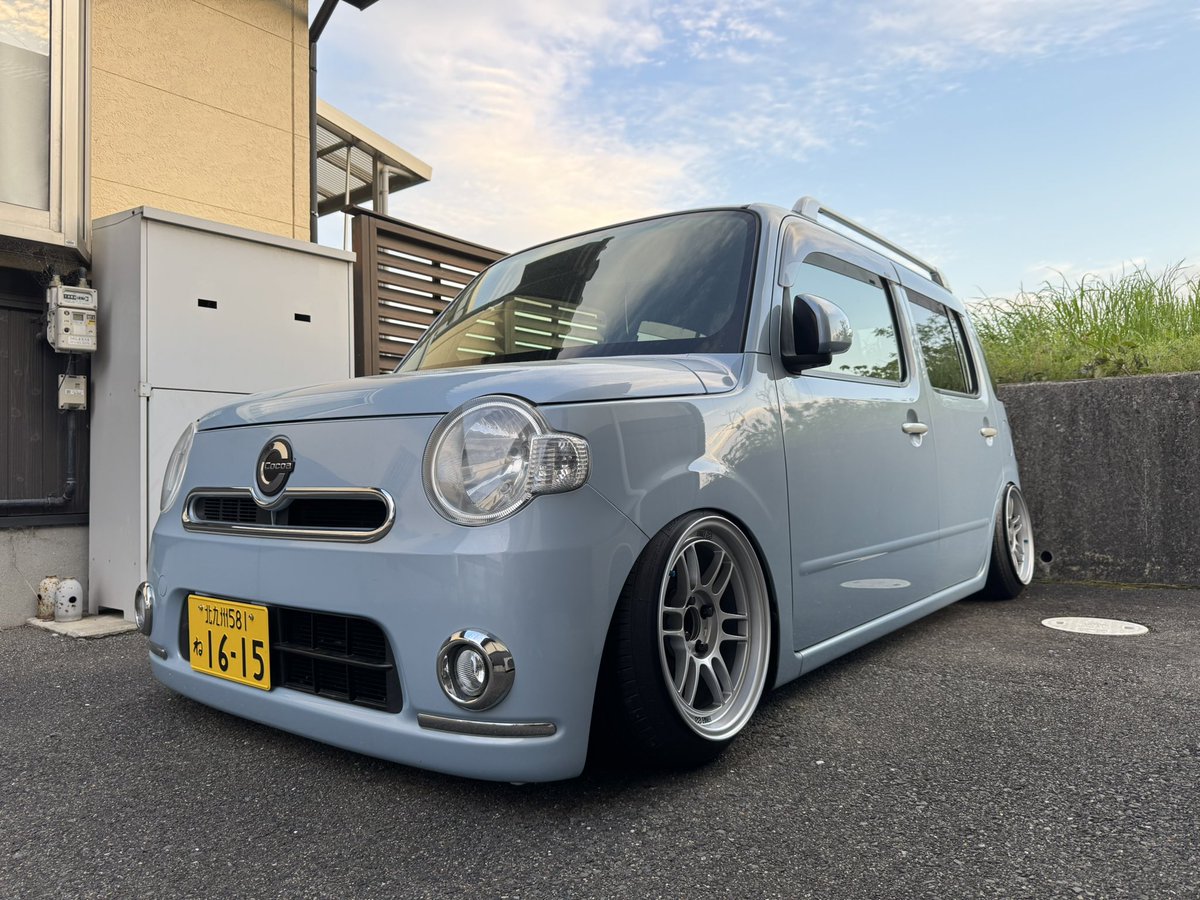 〰白いゴキブリ〰 tweet media
