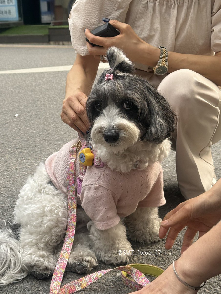 하이🐈‍⬛ tweet media
