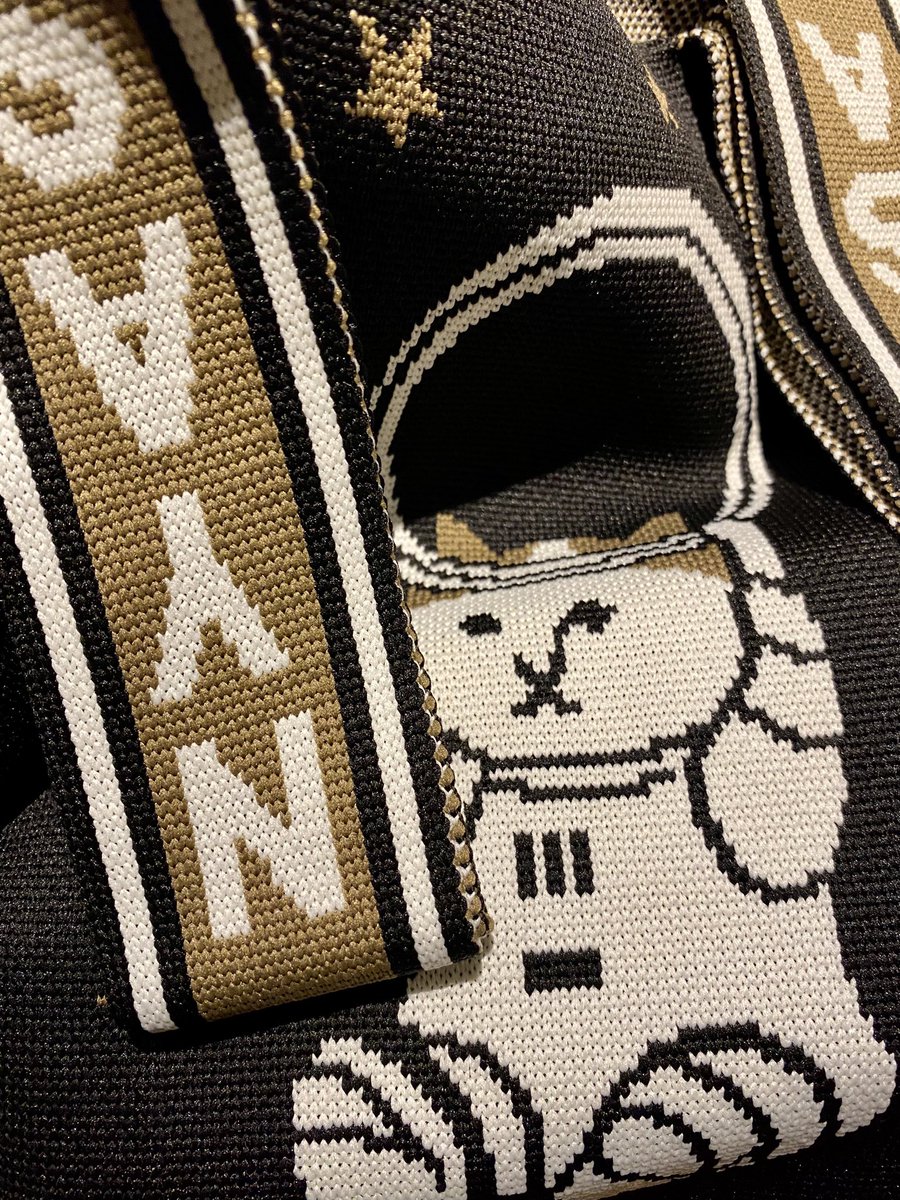 つい買ってしまいました🐿️
NYASAグッズ。