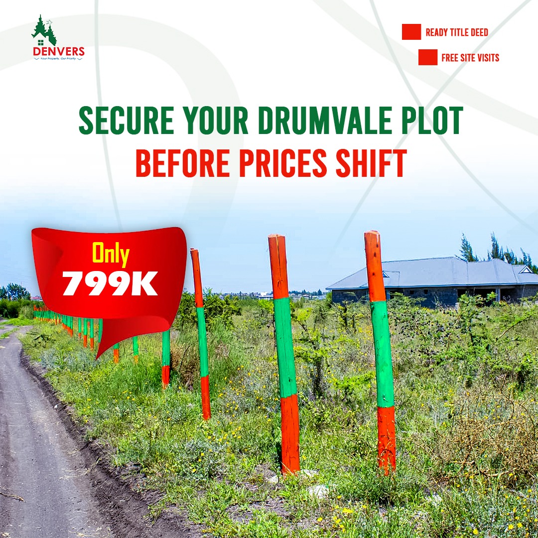 Denversltd's tweet photo. 799K for land na bado unasema “nitafikiria”? 👀

Meanwhile prices zinataka kupanda 😭

📍 Drumvale
✔ Ready title
✔ Free site visit

Move smart or watch others win.

📞 0714053857
📩 DM “INFO”

🔗 [https://t.co/v5brS3ICnn]

#KOT #OwnLand #Drumvale #LandForSale #MoneyMoves #HustleSmart #NoPressure