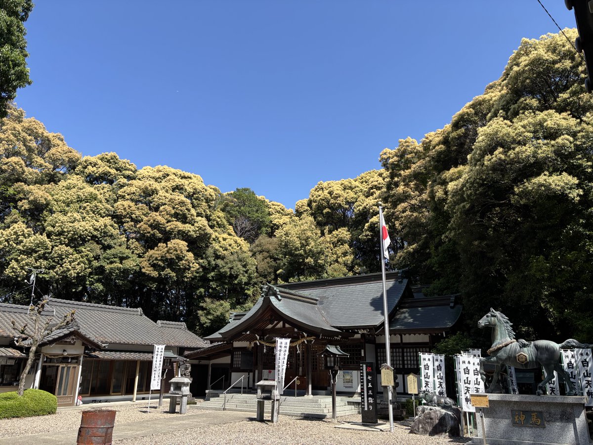 326kano's tweet photo. 晴天の下、隣町の神社の月次祭に参列。本年度、初の参加でしたので直会前に、関係者のの方々にご挨拶をさせて頂きました。

#春日井市#白山神社#月次祭#春日井市議会 https://t.co/XVWJS0v09l