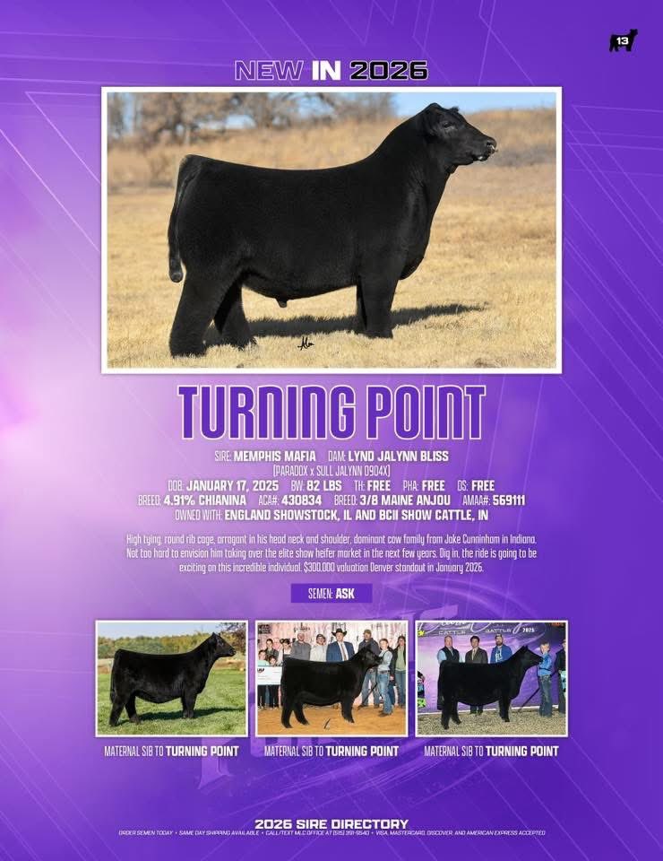 mattlautner's tweet image. Popular Maine Sires At MLC 
-Readily Available For Nationwide Shipment 

-Turning Point: $100/Unit 
-Maine Attraction: $50/Unit 
-One For All (Blaine Rodgers) : $30/Unit 

🇺🇸

-MLC Farm Visits Sunday To Sunday 
-Minnesota/Wisconsin 
-Matt Lautner : 515.450.2800

#OrderToday