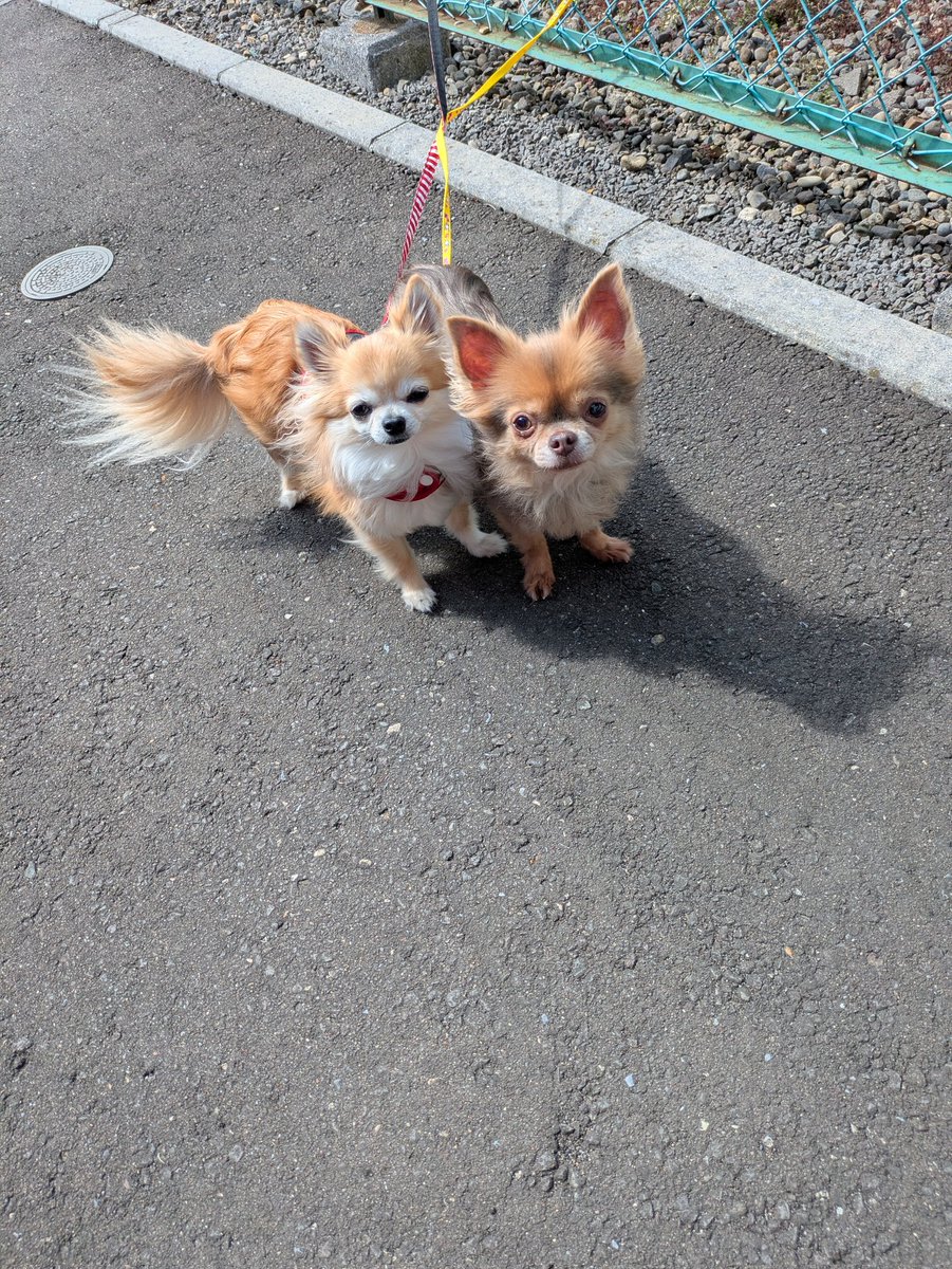 あっちゃん tweet media