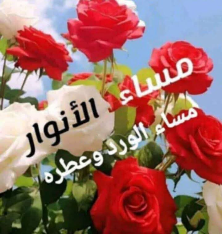 Ali tweet media