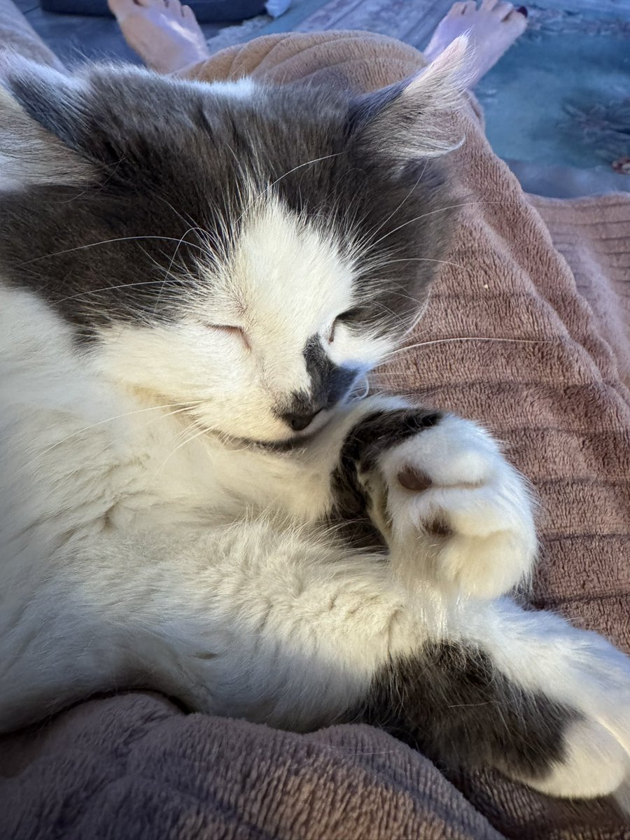 SpanielsSuper's tweet photo. Dad & PussPuss are riveted by the snooker
Martha is missing it because sheโs asleep on mumโs knee #SnookerLoopy https://t.co/4MTASOJ93v
