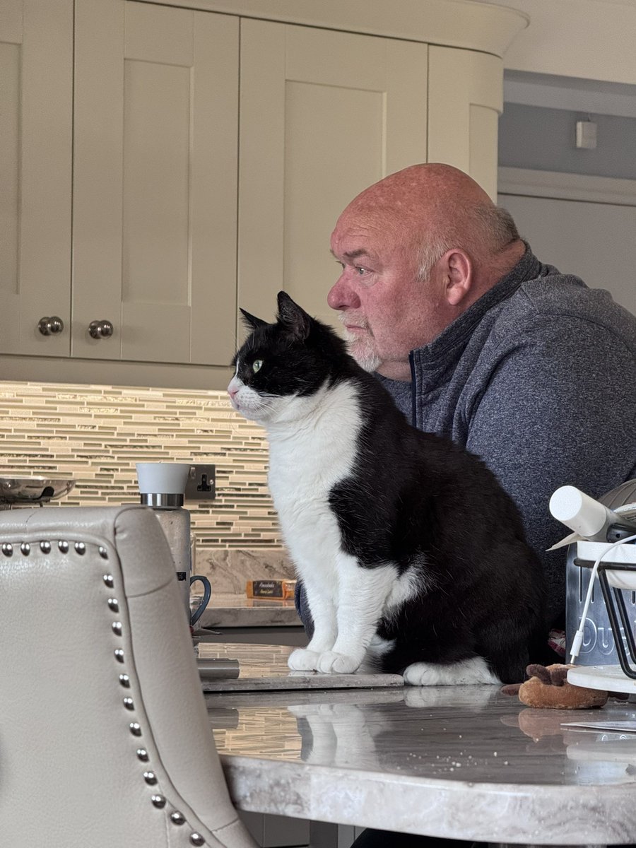 SpanielsSuper's tweet photo. Dad & PussPuss are riveted by the snooker
Martha is missing it because sheโs asleep on mumโs knee #SnookerLoopy https://t.co/4MTASOJ93v