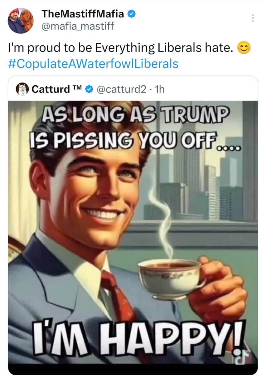 TheMastiffMafia tweet media