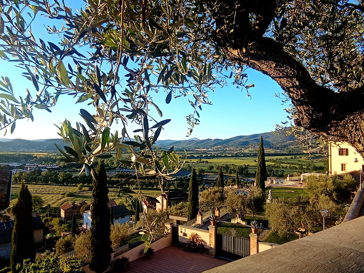 ElsaGalanti's tweet image. #Solomeo #Italy

📸