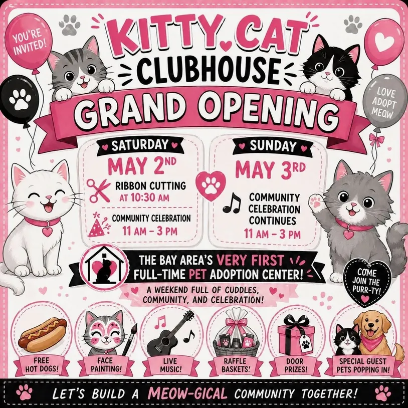 sachikoko's tweet photo. 👉🏾Come Meet Kitties From Angus &amp; Friends Cat Rescue
👉🏾in Castro Valley on May 2nd &amp; 3rd, 2026
▶️4 INFO https://t.co/zbsXUzdy8h https://t.co/SftiNanESD
