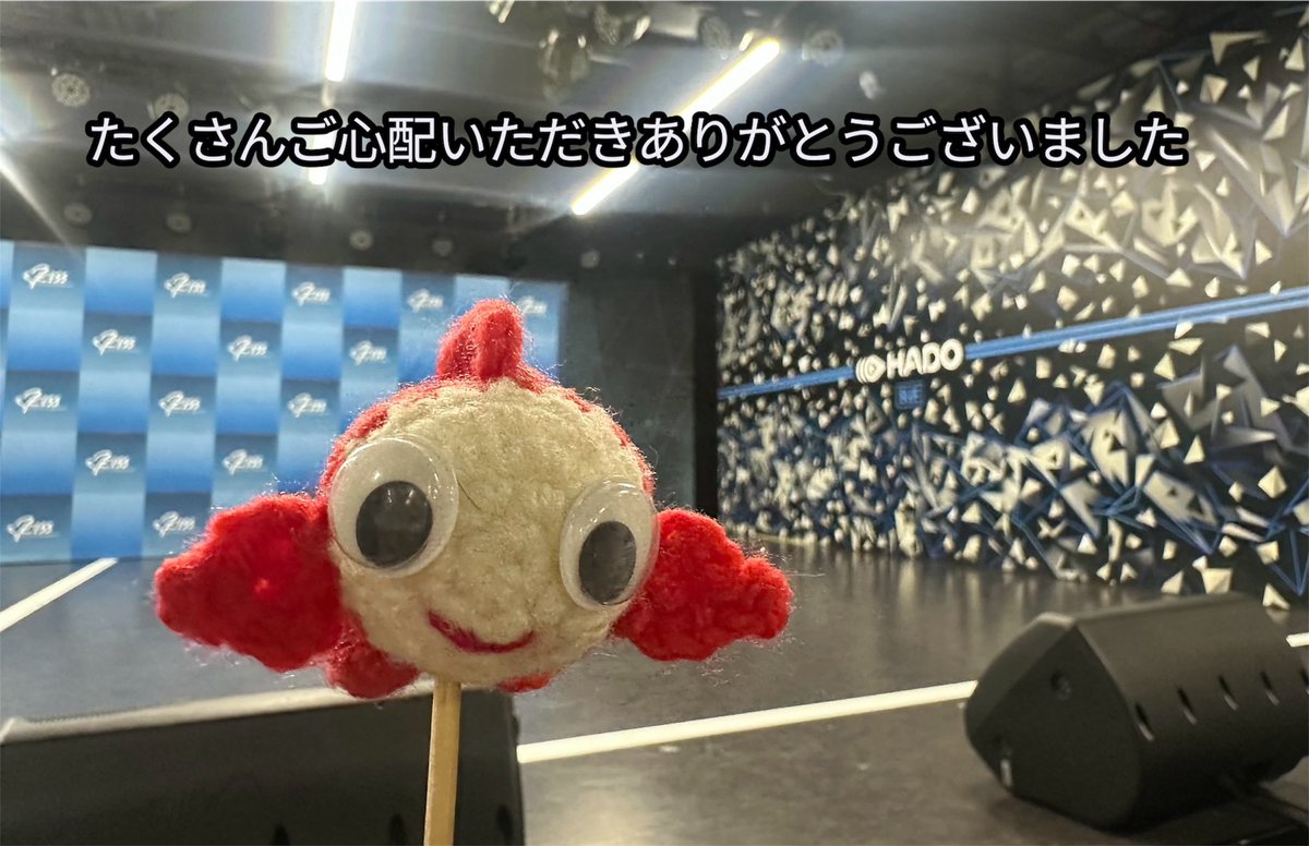 NoRu🐠（ドハ金ちゃん）COSMO💫 tweet media