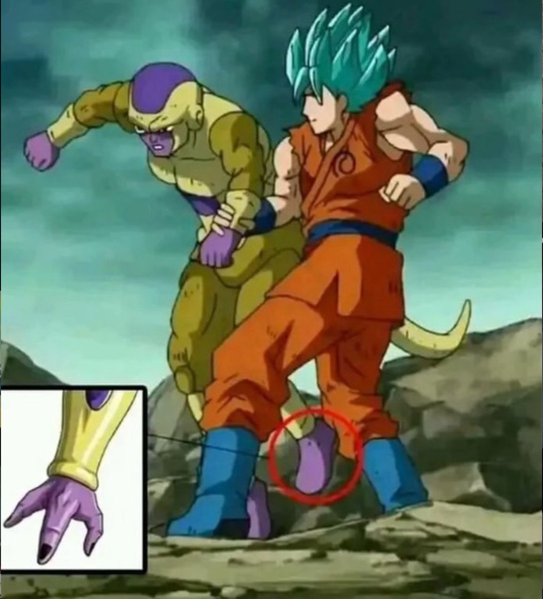Dragon Ball Daily tweet media
