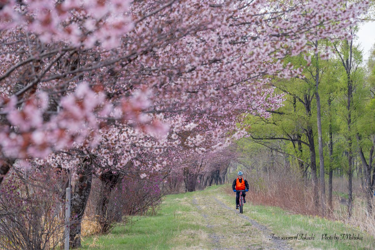 nishi@北海道十勝の風景写真 tweet media
