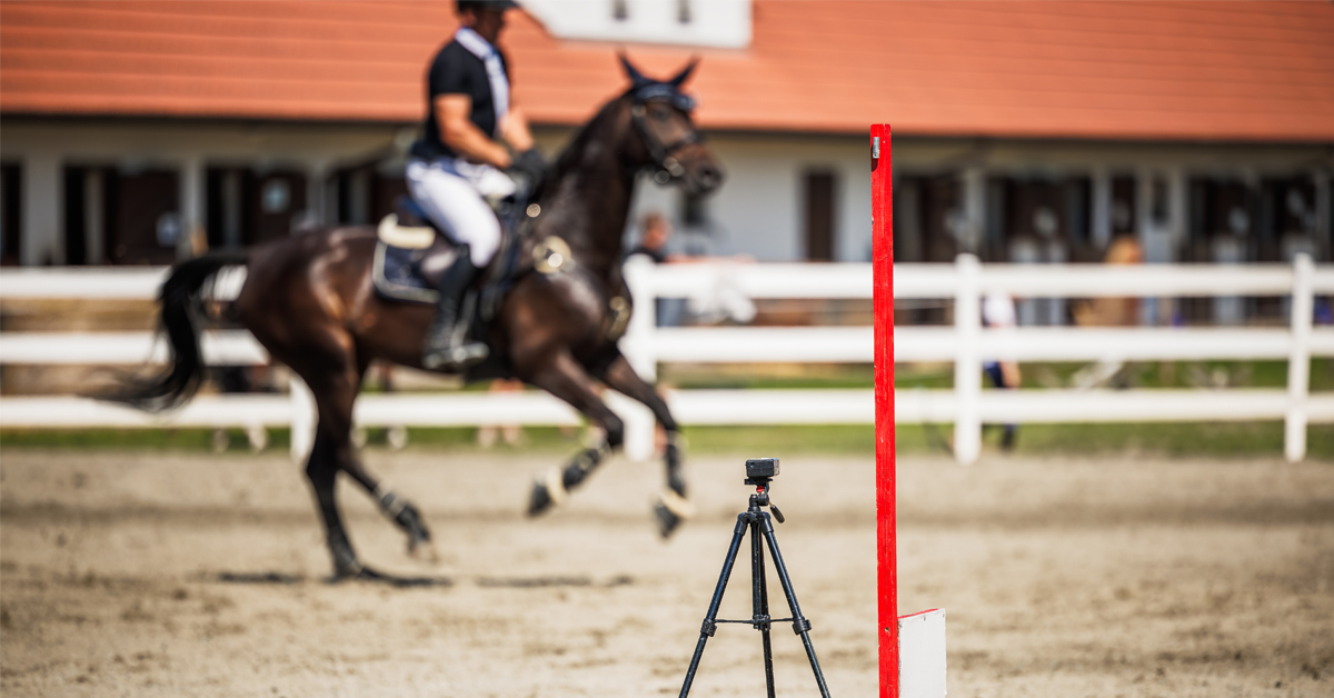 HorseSport_mag's tweet image. Show Jumping Etiquette and Rules Refresher
Before you step into the ring this 2026 show season, review some basic rules to avoid additional faults, or worse, elimination. #showjumping #horseshows #knowtherules
horsesport.com/magazine/train…