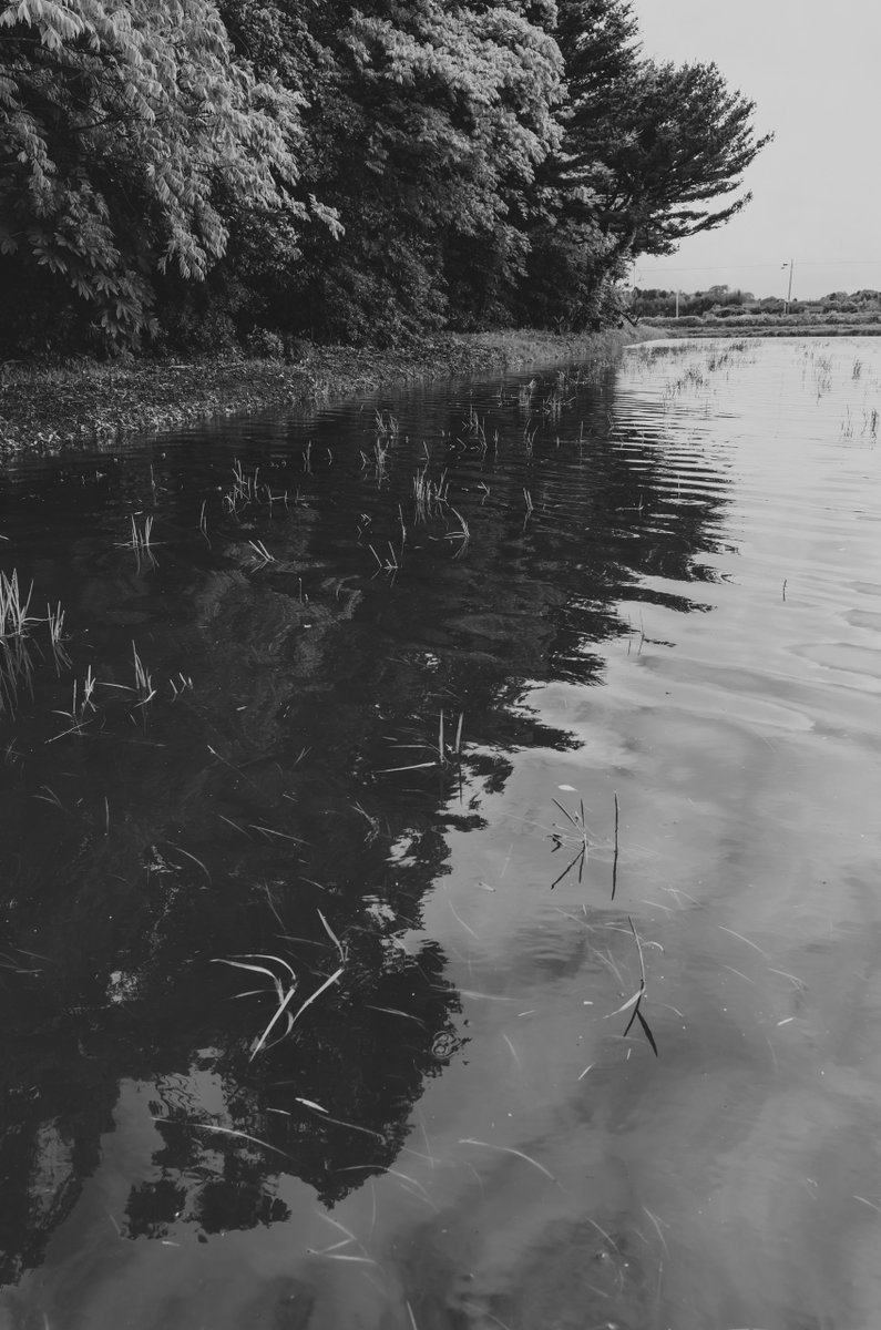 akabeko63's tweet image. #2468
#monochrome #モノクローム