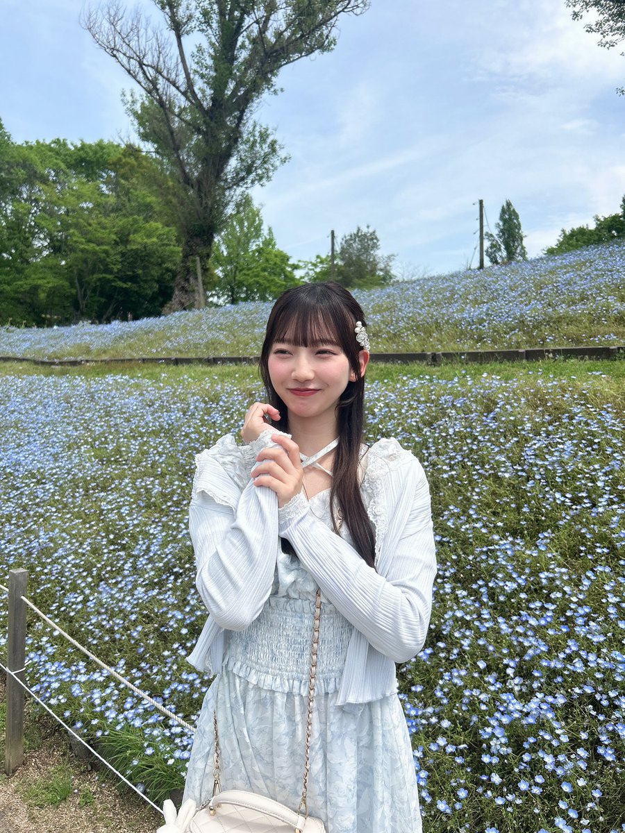 琴乃🐰 tweet media