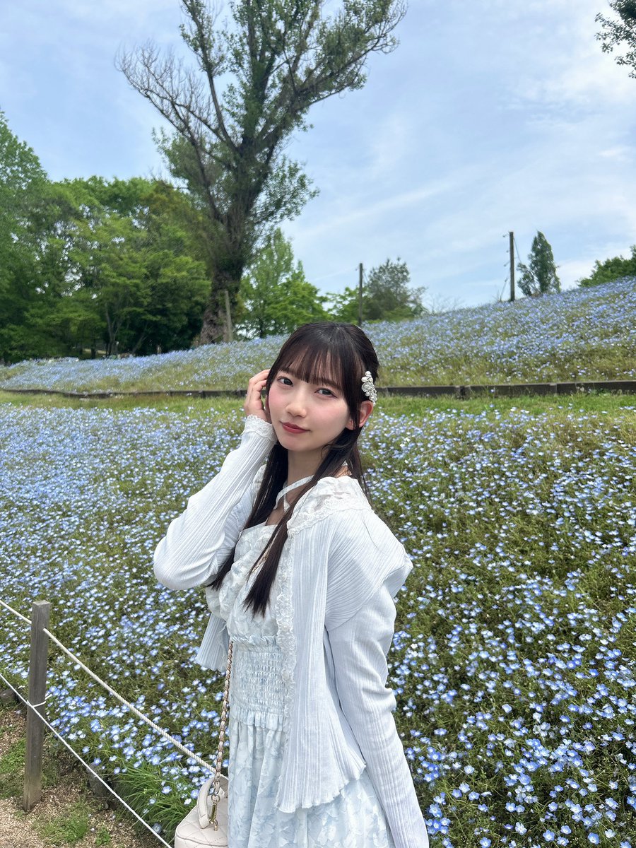 琴乃🐰 tweet media
