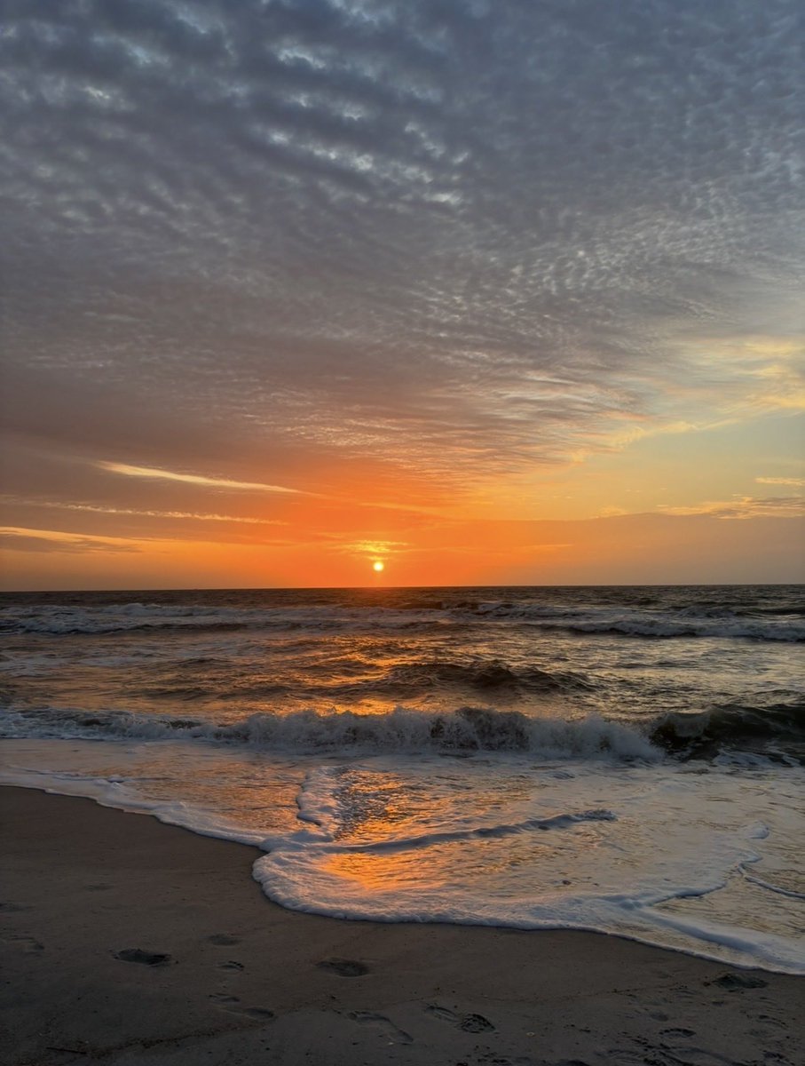 Jenn 🌅🐬🌊☘️ tweet media