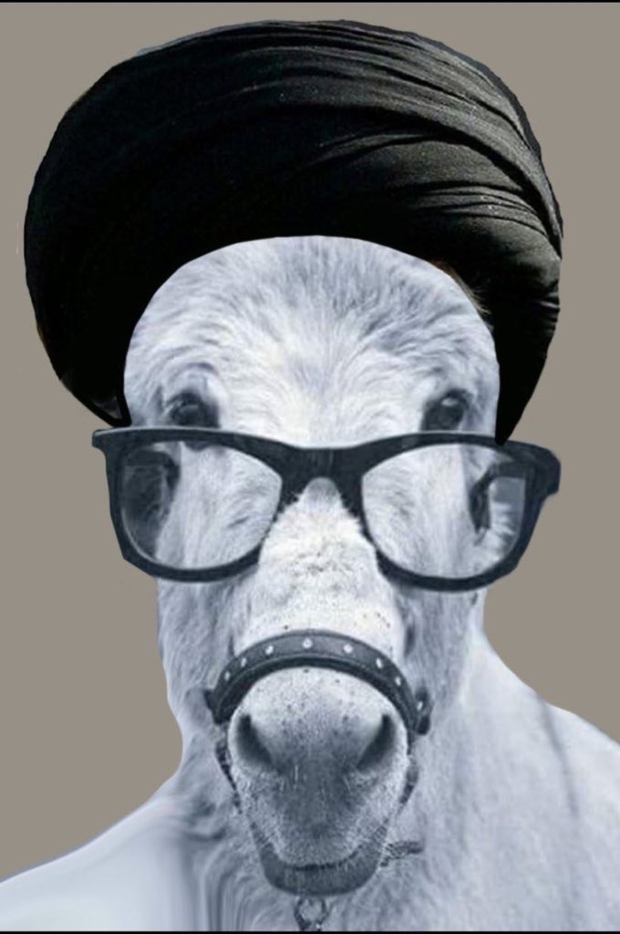 George Nasrallah ن tweet media
