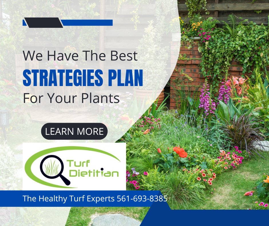 The Healthy Turf Experts tweet media