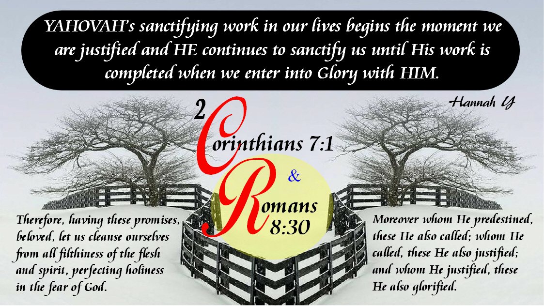HannahY56567625's tweet image. #GOD
Sanctification works of Holy Spirit.

D transformed Christian Life empowered by Holy Spirit, glorifying to YAHOVAH abiding in d WORD OF YAHOVAH according to His Will !

We're regenerated-new creation in MESSIAH YAHSHUA, not controlled by sin.

HOPE
youtu.be/CQW8mnh325w