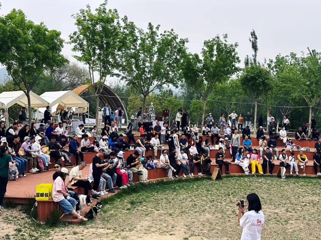 BeijingEvening's tweet image. 辛庄落日音乐会浪漫开唱
Get ready for a romantic sunset #concert! Every weekend in Xinzhuang, Changping, Beijing, visitors can enjoy the sunset while listening to music. #beijing #LiveLikeaChinese